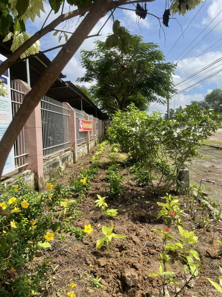 z3785558861839_2b00c9a1b1e6c787ff4d95fe0b46823a