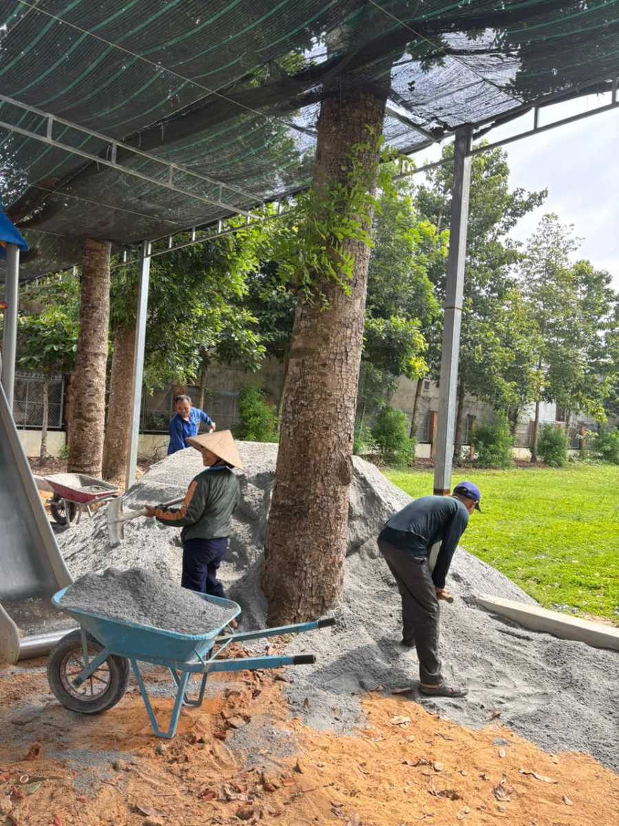 50f84cb3f7b44fea16a5